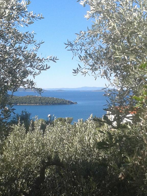 Apartments Jasna Τρογκίρ Εξωτερικό φωτογραφία